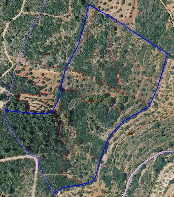 Spot image