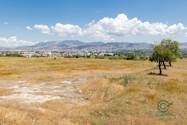Spot image
