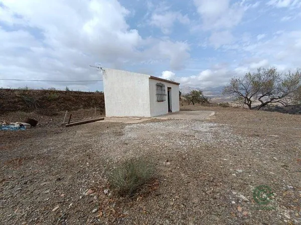 Spot image