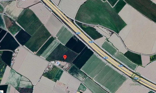Spot image
