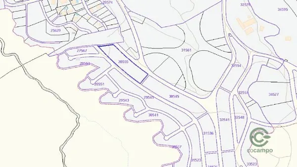 Spot image