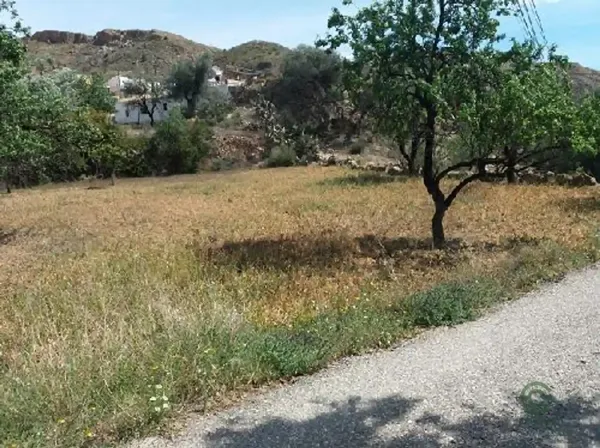 Spot image
