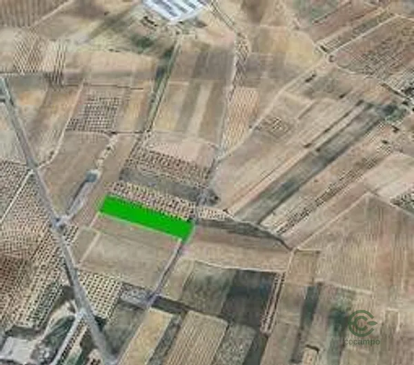 Spot image