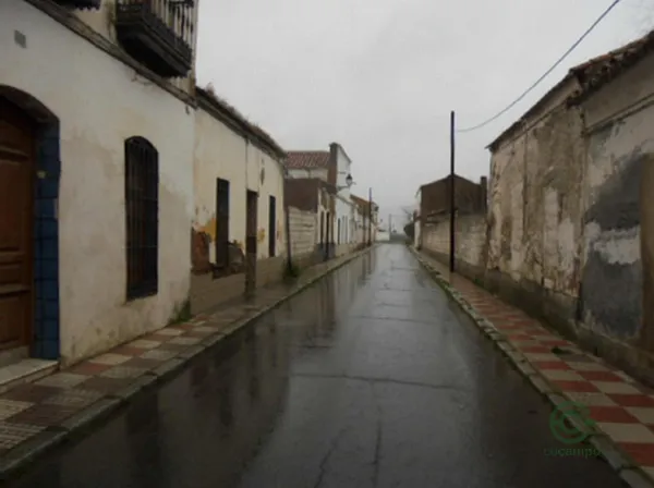 Spot image