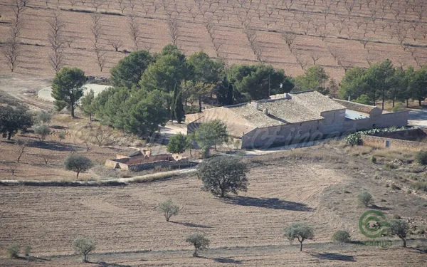 Spot image