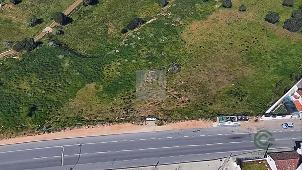 Spot image