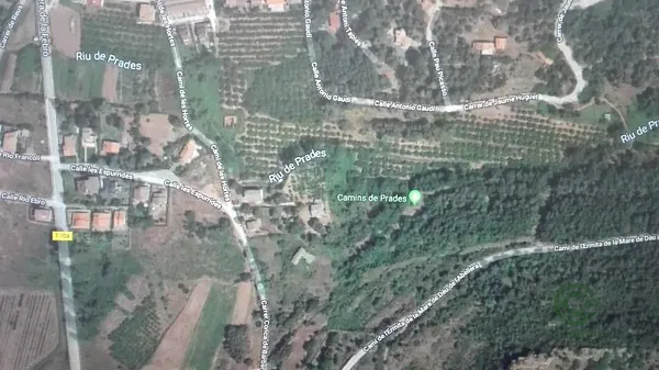 Spot image