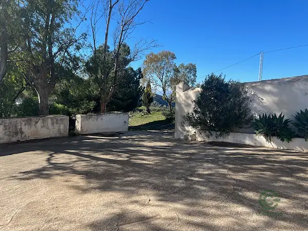 Spot image