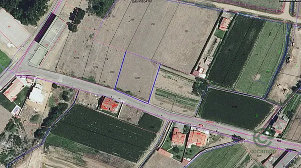 Spot image