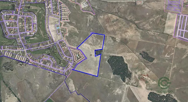 Spot image
