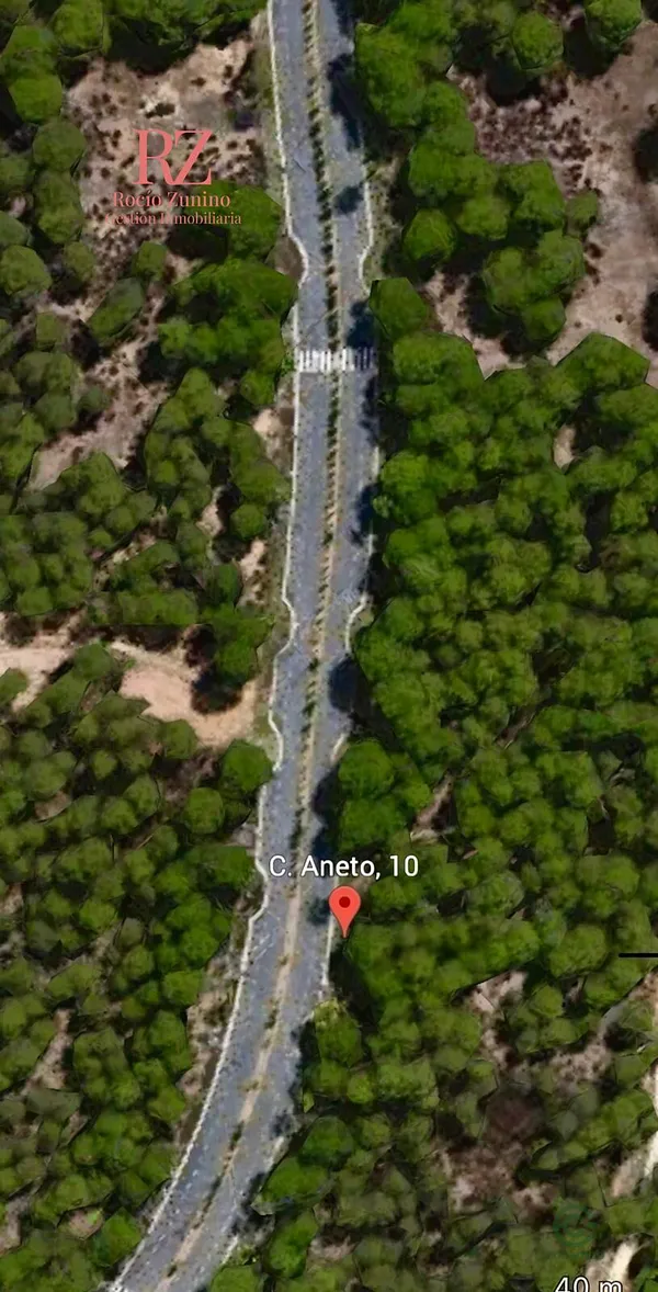 Spot image