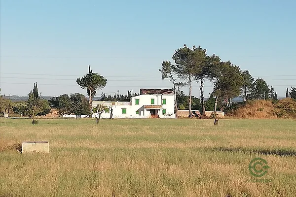 Spot image