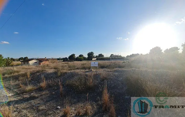 Spot image