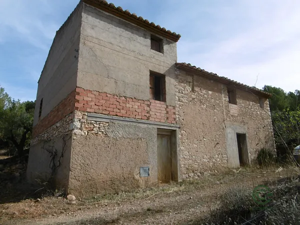 Spot image