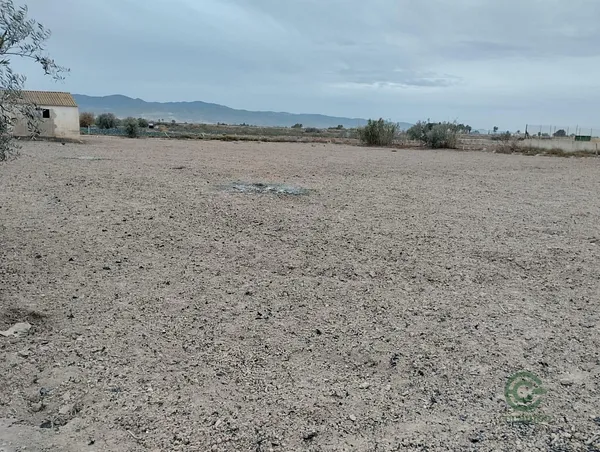 Spot image