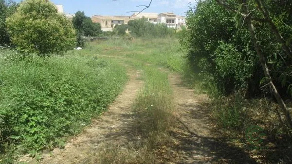 Spot image