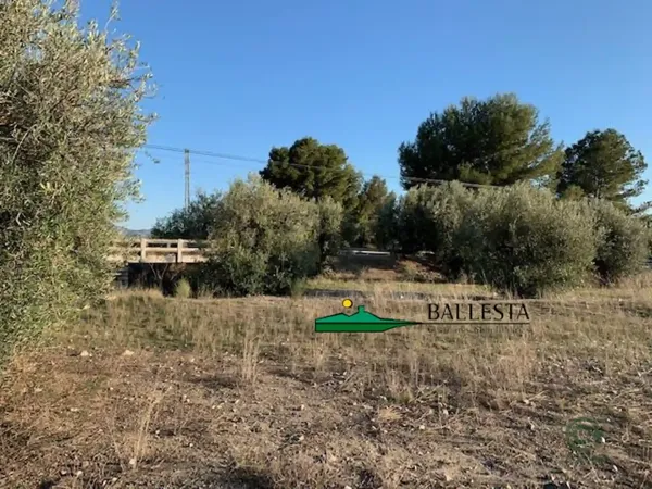 Spot image