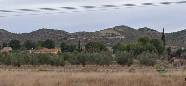 Spot image