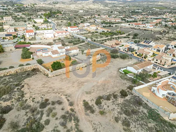 Spot image