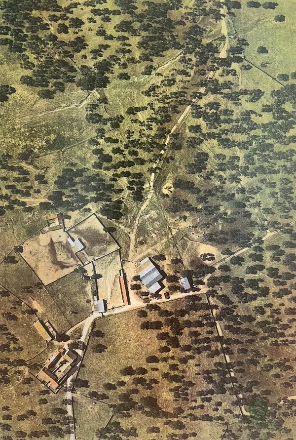 Spot image