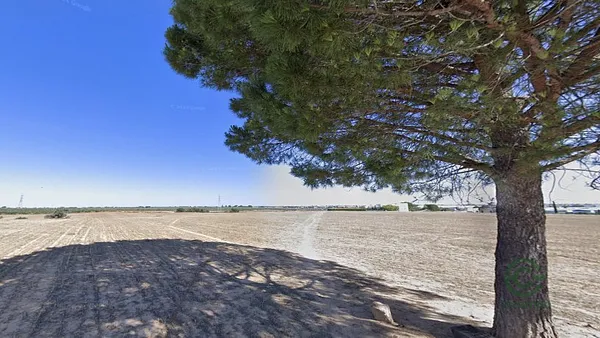 Spot image