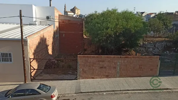 Spot image