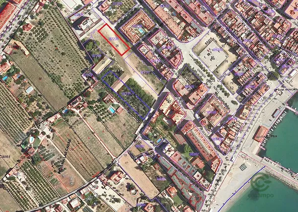 Spot image