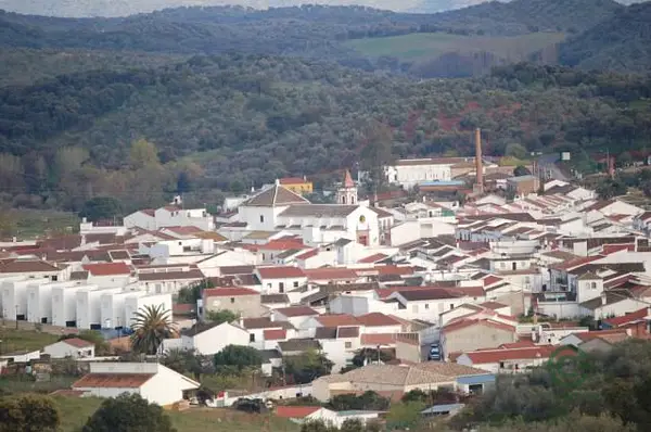 Spot image