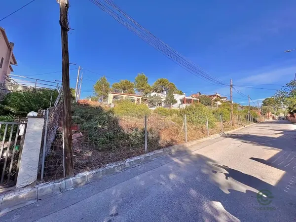 Spot image