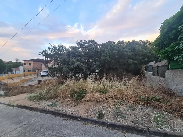 Spot image