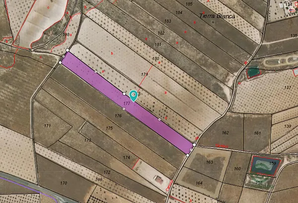 Spot image