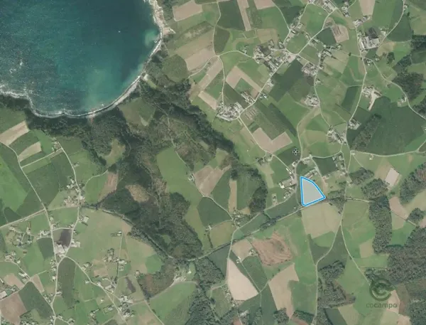 Spot image