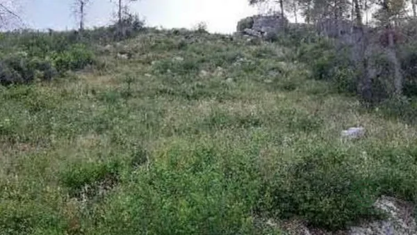 Spot image