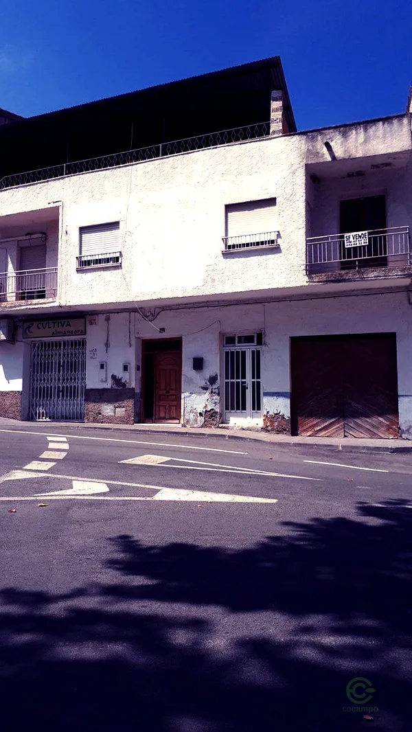 Spot image
