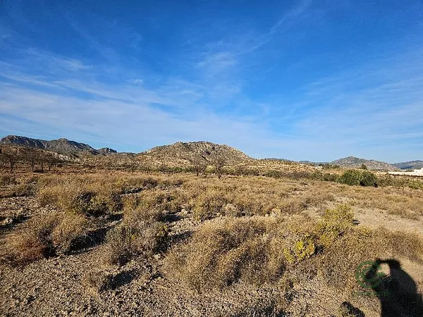 Spot image