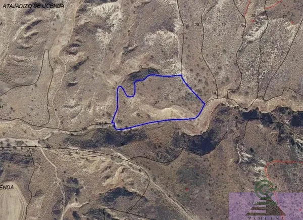 Spot image