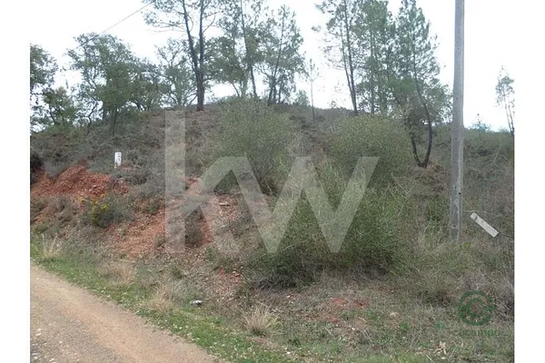 Spot image