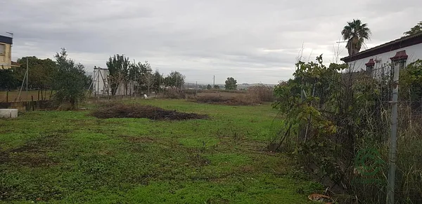 Spot image