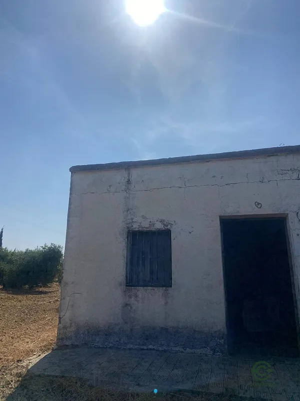Spot image