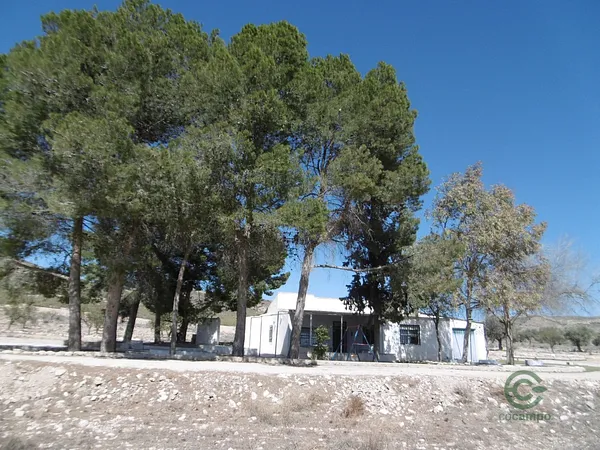Spot image