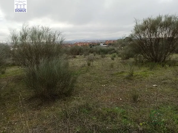 Spot image