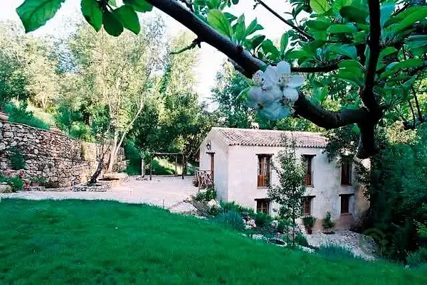 Spot image