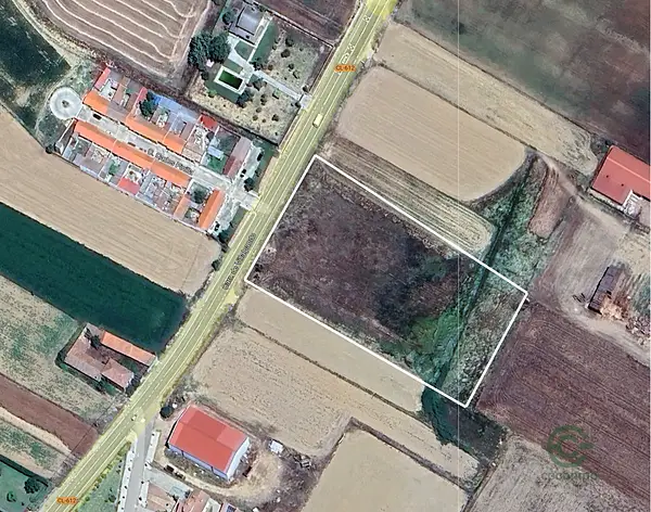 Spot image