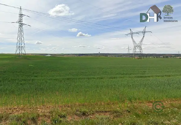 Spot image
