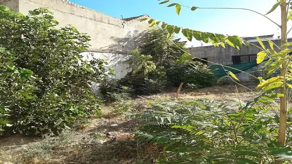 Spot image
