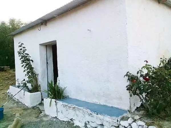 Spot image