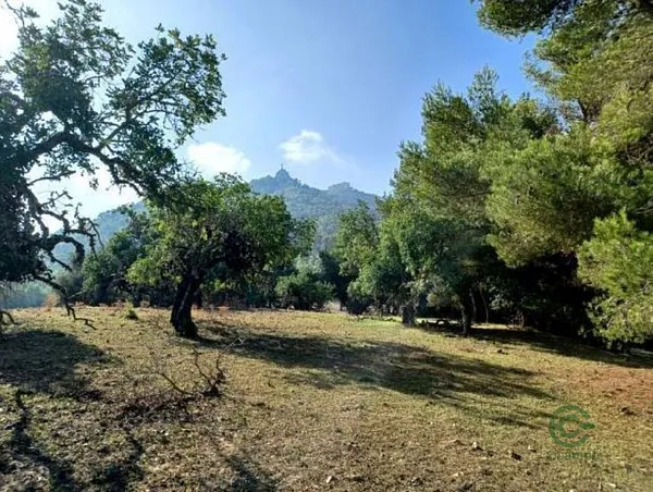 Spot image