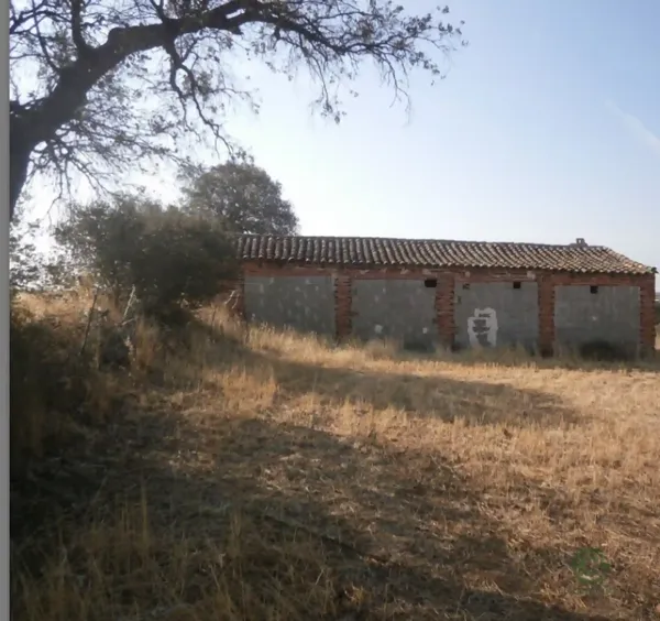 Spot image