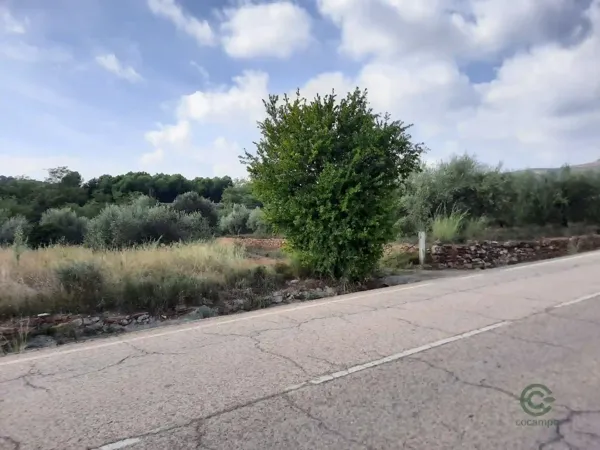 Spot image