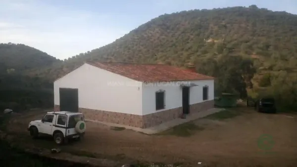 Spot image
